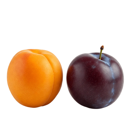 Apricot Plum White Balsamic Vinegar - Tubac Gourmet Foods