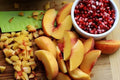Arizona Desert Honey – Fruit Medley. 8 oz. - Tubac Gourmet Foods