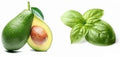 Avocado Basil Oil, 375 ml. - Tubac Gourmet Foods