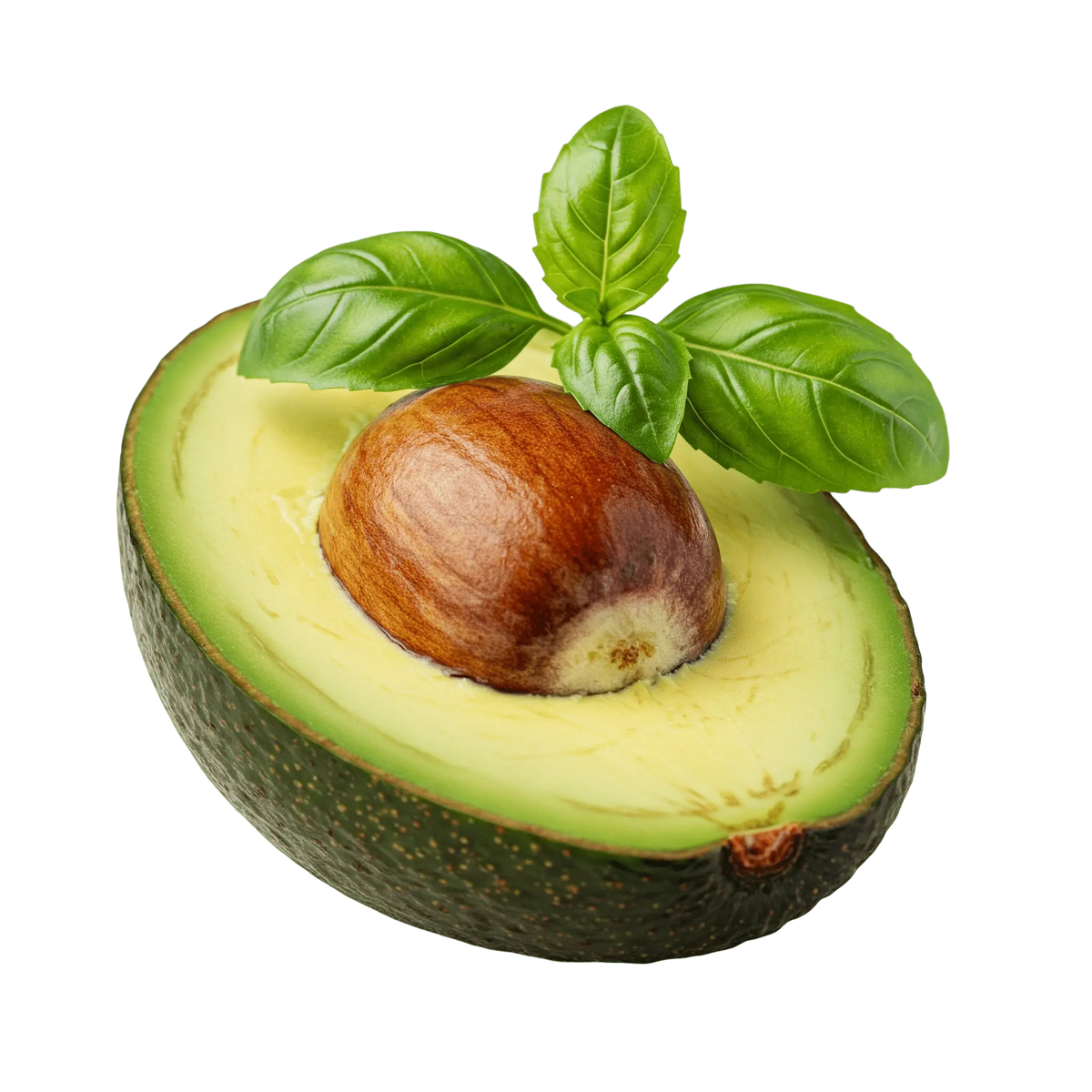 Avocado Basil Oil - Tubac Gourmet Foods
