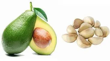 Avocado Garlic Oil, 375 ml. - Tubac Gourmet Foods
