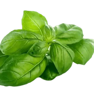 Basil Olive Oil - Tubac Gourmet Foods