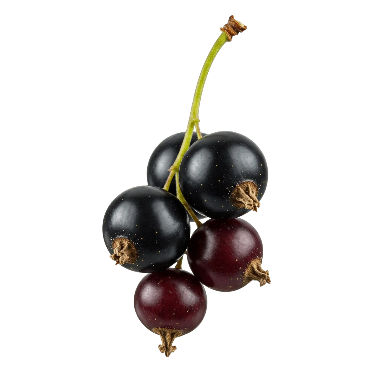 Black Currant Dark Balsamic Vinegar - Tubac Gourmet Foods