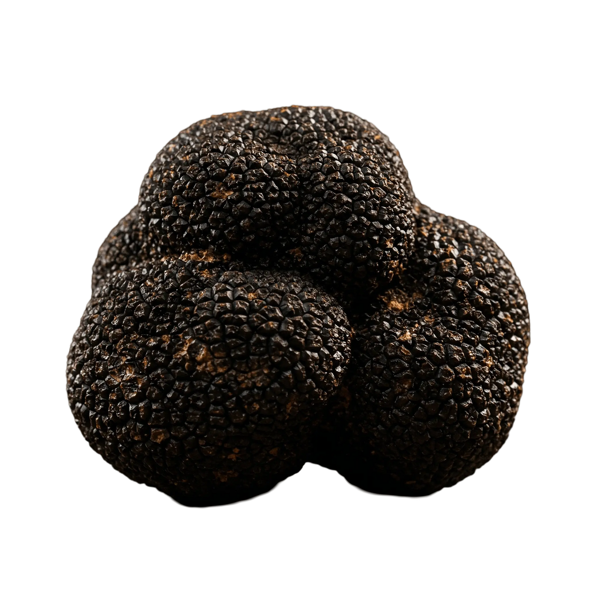 Black Truffle Olive Oil - Tubac Gourmet Foods