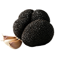 Black Truffle Olive Oil With Garlic - Tubac Gourmet Foods