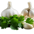 Garlic Cilantro Olive Oil - Tubac Gourmet Foods