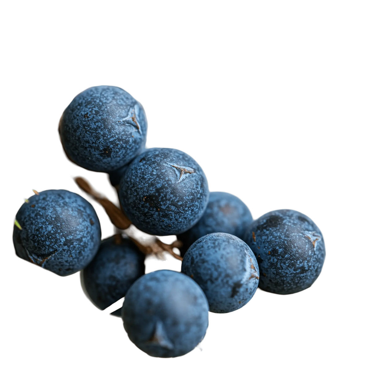 Juniper Berry Dark Balsamic Vinegar - Tubac Gourmet Foods