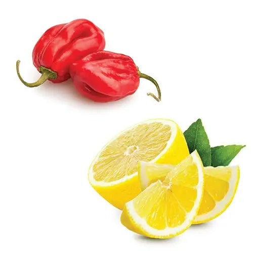 Lemon Habanero White Grilling Balsamic - Tubac Gourmet Foods