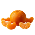Mandarin Orange White Balsamic Vinegar, 375 ml bottle. - Tubac Gourmet Foods