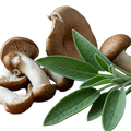Mushroom Sage Olive Oil - Tubac Gourmet Foods