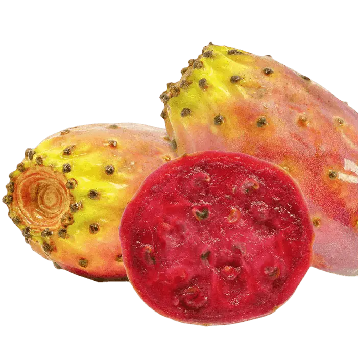 Prickly Pear White Balsamic Vinegar - Tubac Gourmet Foods
