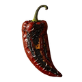 Roasted Chile Olive Oil - Tubac Gourmet Foods