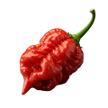 Scorpion Pepper Olive Oil - Tubac Gourmet Foods